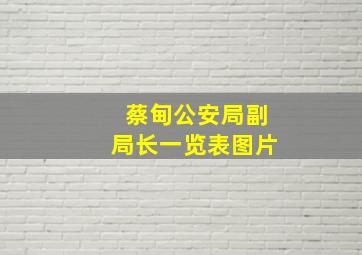 蔡甸公安局副局长一览表图片