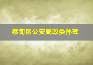 蔡甸区公安局政委孙辉