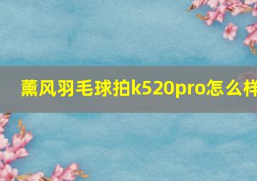 薰风羽毛球拍k520pro怎么样