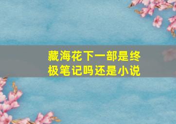 藏海花下一部是终极笔记吗还是小说