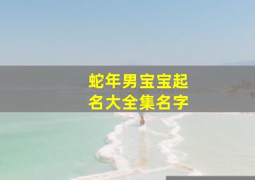 蛇年男宝宝起名大全集名字