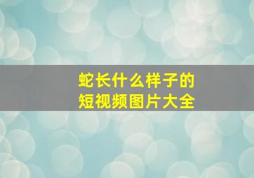 蛇长什么样子的短视频图片大全