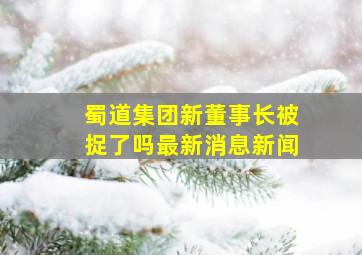 蜀道集团新董事长被捉了吗最新消息新闻