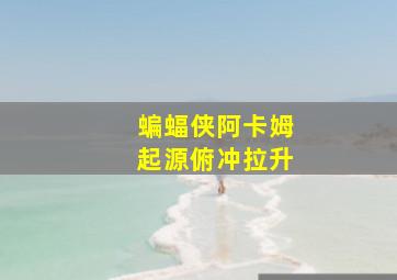 蝙蝠侠阿卡姆起源俯冲拉升