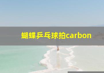 蝴蝶乒乓球拍carbon