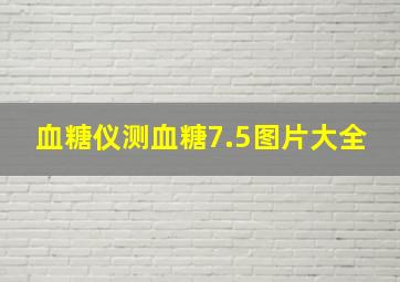 血糖仪测血糖7.5图片大全