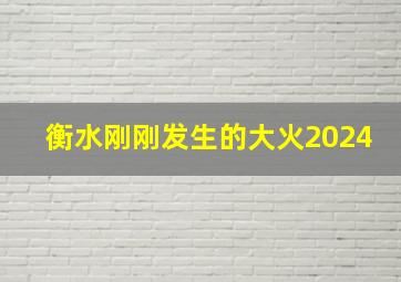 衡水刚刚发生的大火2024