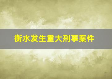 衡水发生重大刑事案件