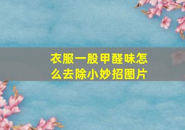 衣服一股甲醛味怎么去除小妙招图片