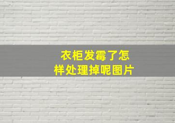 衣柜发霉了怎样处理掉呢图片