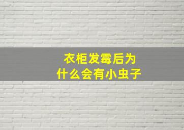 衣柜发霉后为什么会有小虫子