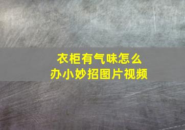 衣柜有气味怎么办小妙招图片视频