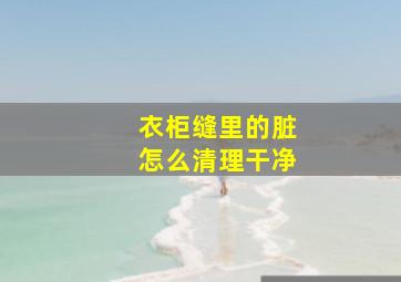 衣柜缝里的脏怎么清理干净