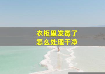 衣柜里发霉了怎么处理干净