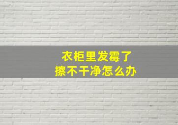 衣柜里发霉了擦不干净怎么办