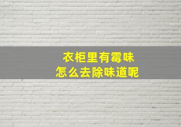 衣柜里有霉味怎么去除味道呢