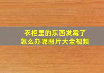 衣柜里的东西发霉了怎么办呢图片大全视频