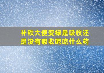 补铁大便变绿是吸收还是没有吸收呢吃什么药