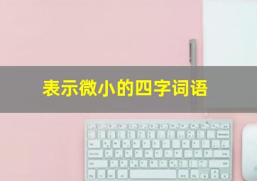 表示微小的四字词语