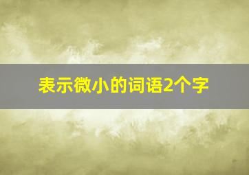 表示微小的词语2个字