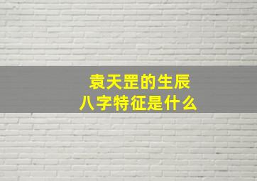 袁天罡的生辰八字特征是什么