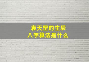 袁天罡的生辰八字算法是什么