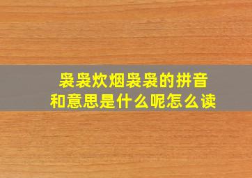 袅袅炊烟袅袅的拼音和意思是什么呢怎么读