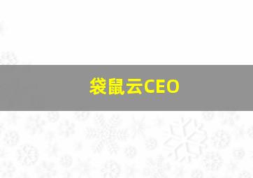 袋鼠云CEO