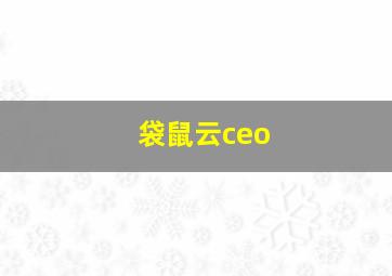 袋鼠云ceo