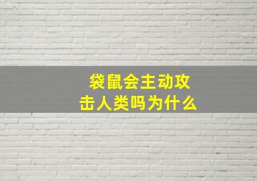 袋鼠会主动攻击人类吗为什么