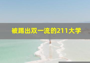 被踢出双一流的211大学