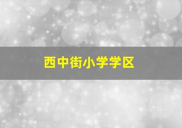 西中街小学学区