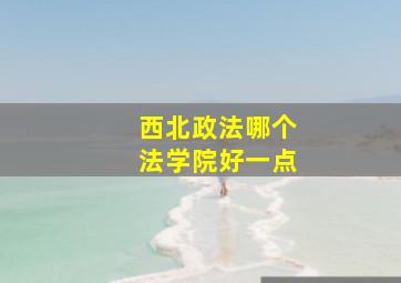 西北政法哪个法学院好一点