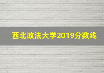 西北政法大学2019分数线