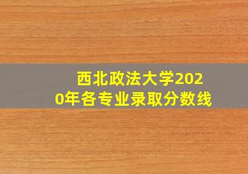 西北政法大学2020年各专业录取分数线