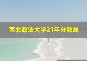 西北政法大学21年分数线