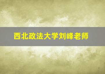 西北政法大学刘峰老师