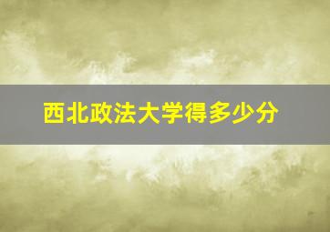 西北政法大学得多少分