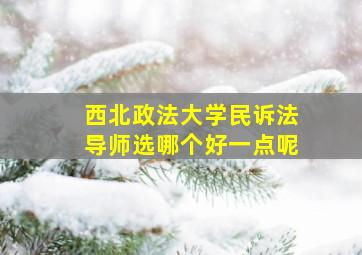 西北政法大学民诉法导师选哪个好一点呢