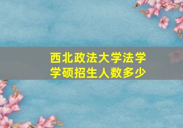 西北政法大学法学学硕招生人数多少