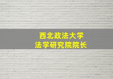 西北政法大学法学研究院院长