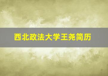 西北政法大学王尧简历