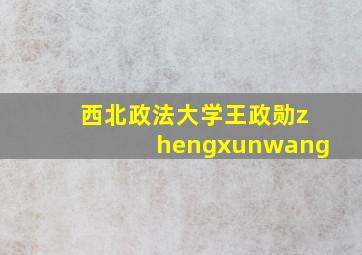 西北政法大学王政勋zhengxunwang