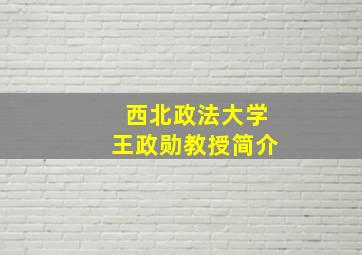 西北政法大学王政勋教授简介