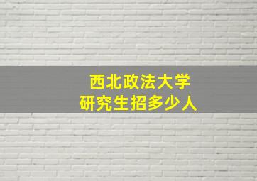 西北政法大学研究生招多少人