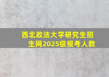 西北政法大学研究生招生网2025级报考人数