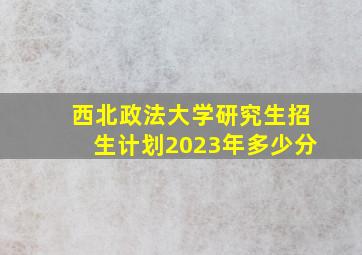 西北政法大学研究生招生计划2023年多少分