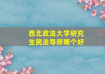 西北政法大学研究生民法导师哪个好