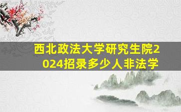 西北政法大学研究生院2024招录多少人非法学