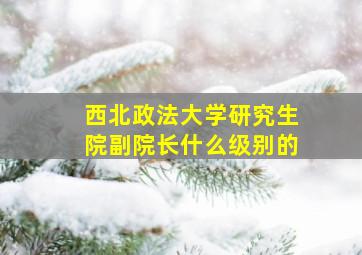 西北政法大学研究生院副院长什么级别的